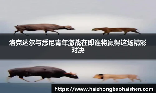 williamhill威廉希尔官方网站